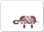 TYPOZOO Nr. 6