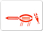 Typozoo Nr. 11